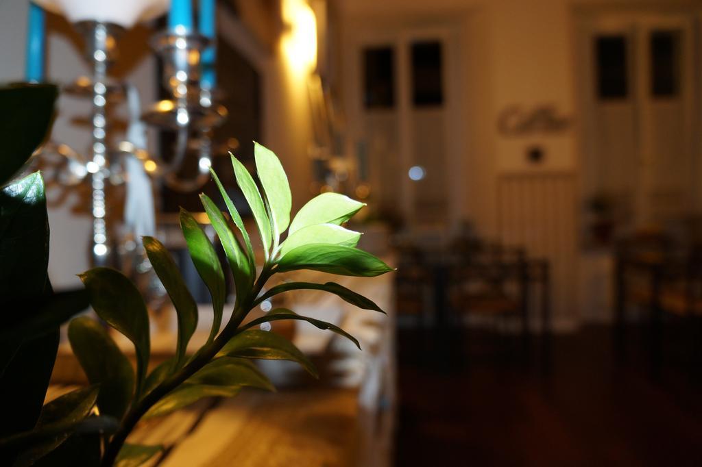 Domus San Martino Guesthouse Πιατσέντζα Εξωτερικό φωτογραφία